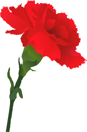 Red Carnation Vector Art PNG Image