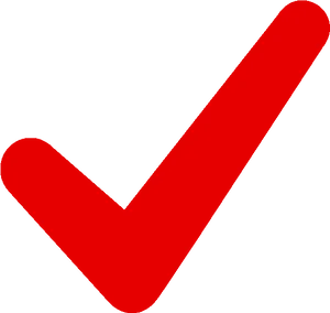 Red Checkmark Graphic PNG Image