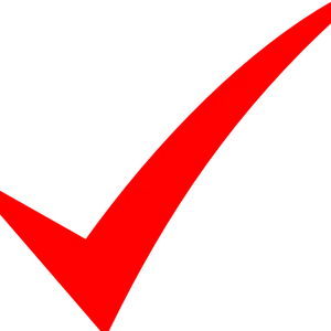 Red Checkmark Symbol PNG Image