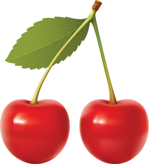 Red Cherrieswith Leaf PNG Image