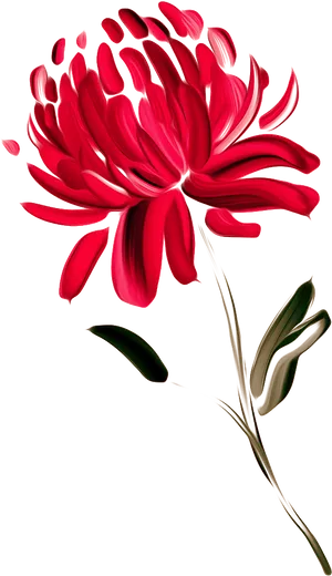 Red Chrysanthemum Artistic Representation PNG Image