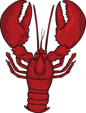 Red Crayfish Illustration PNG Image