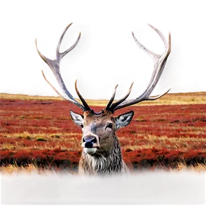 Red Deer Stag Png 4 PNG Image