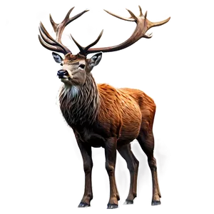 Red Deer Stag Png Nge63 PNG Image