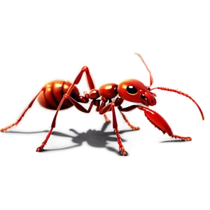 Red Fire Ant Clipart Png Lkl79 PNG Image