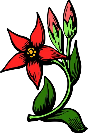 Red Flower Illustration.png PNG Image