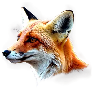 Red Fox Illustration Png 06242024 PNG Image