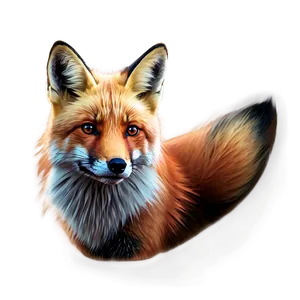 Red Fox Portrait Png 26 PNG Image