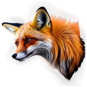 Red Fox Portrait Png 49 PNG Image