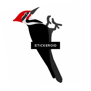 Red Headed Woodpecker Illustration.png PNG Image