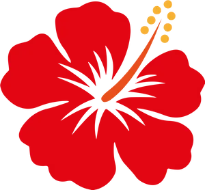 Red Hibiscus Vector Illustration PNG Image