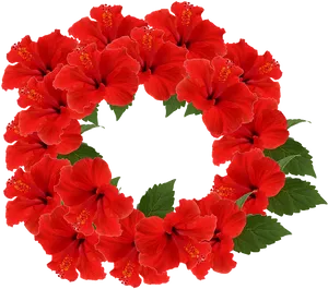 Red Hibiscus Wreath Transparent Background PNG Image