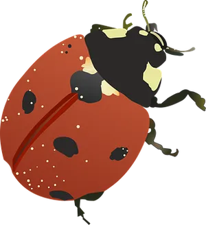 Red Ladybug Illustration PNG Image