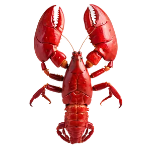 Red Lobster A PNG Image