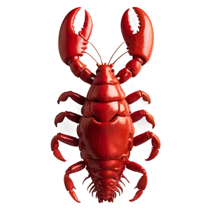 Red Lobster Outline Png 06242024 PNG Image