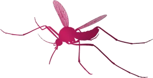 Red Mosquito Illustration PNG Image