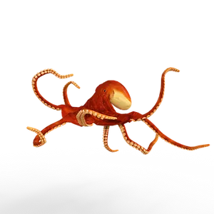 Red Octopus Black Background PNG Image