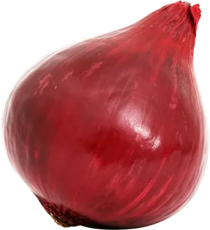 Red Onion Single Isolated Background PNG Image