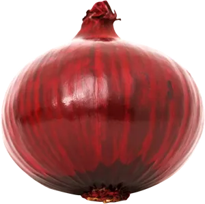 Red Onion Single Isolated PNG Image