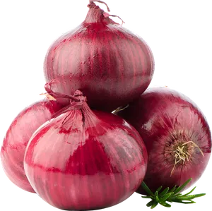 Red Onionswith Rosemary Sprig PNG