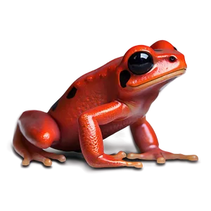 Red Poison Dart Frog Png 06132024 PNG Image