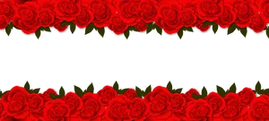 Red Rose Border Black Background PNG Image