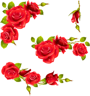 Red Rose Floral Design Element PNG Image