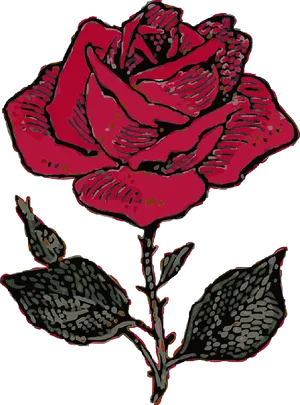 Red Rose Illustration PNG Image