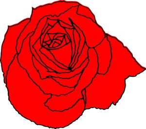 Red Rose Line Art Drawing PNG Image