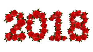 Red Rose Love Text Graphic PNG Image