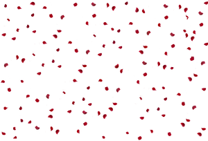 Red Rose Petals Falling Dark Background PNG Image