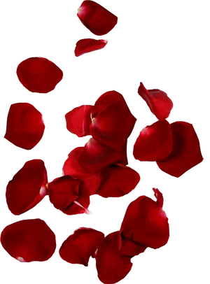 Red Rose Petals Floating Background PNG Image