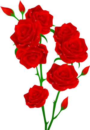 Red Roses Vector Illustration PNG Image