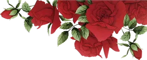 Red Roses Vintage Illustration PNG Image