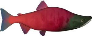 Red Salmon Illustration PNG Image