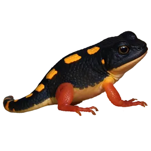 Red-spotted Newt Png Nhu PNG Image