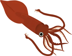 Red Squid Illustration PNG Image