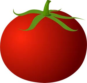 Red Tomato Illustration PNG Image