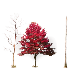 Red Tree On Hillside Png Ktw53 PNG Image