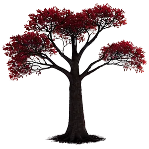 Red Tree Sunset Background Png 25 PNG Image