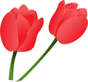 Red Tulips Vector Illustration PNG Image