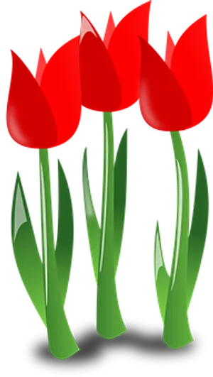 Red Tulips Vector Illustration PNG Image