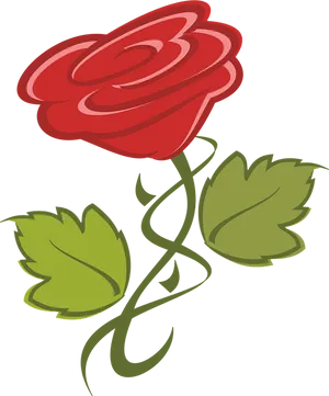 Red Vector Rose Illustration PNG Image