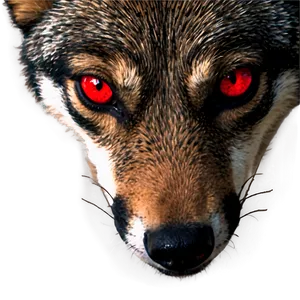 Red Wolf Eyes Png Pwo PNG Image