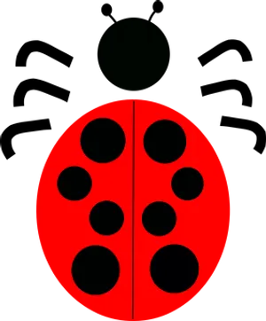 Redand Black Ladybug Illustration PNG Image