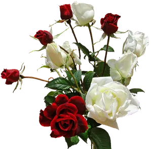 Redand White Roses Bouquet PNG Image