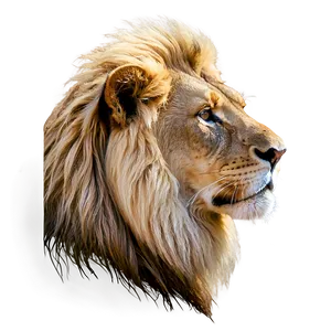 Regal Lion Profile Png 06122024 PNG Image