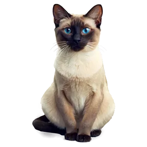 Regal Siamese Cat Sitting Png Vsy85 PNG Image