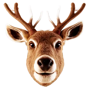 Reindeer Face Png 78 PNG Image