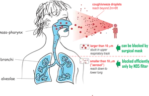 Respiratory_ Droplet_ Transmission_ Illustration PNG Image